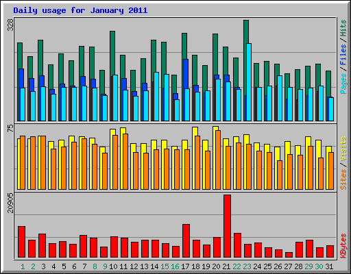 Daily usage for January 2011