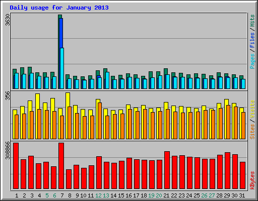 Daily usage for January 2013