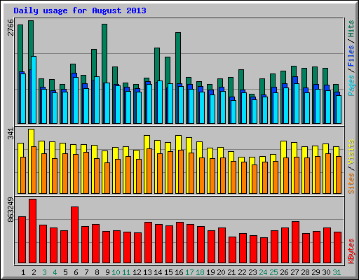 Daily usage for August 2013