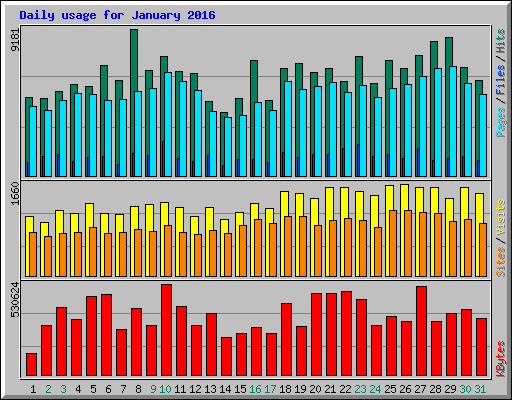 Daily usage for January 2016