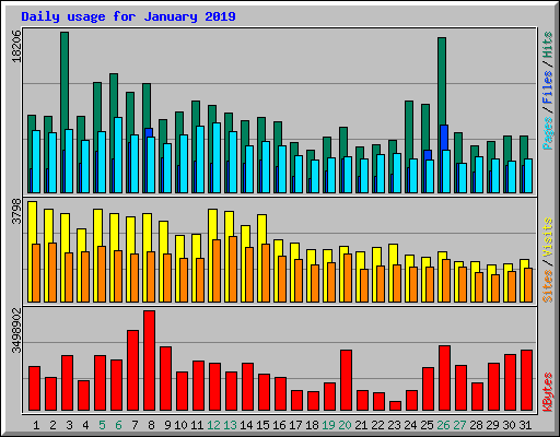 Daily usage for January 2019