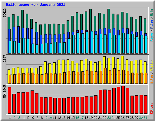 Daily usage for January 2021