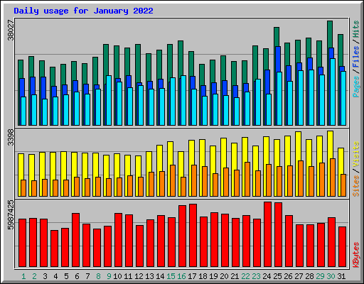 Daily usage for January 2022