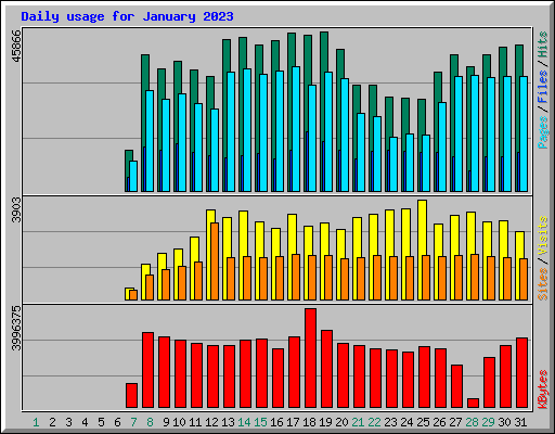 Daily usage for January 2023
