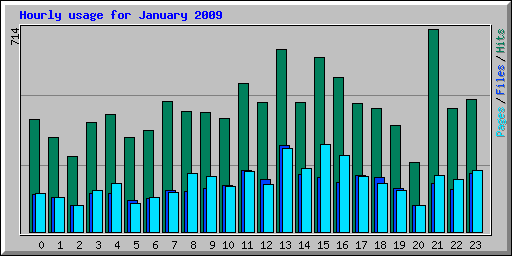 Hourly usage for January 2009