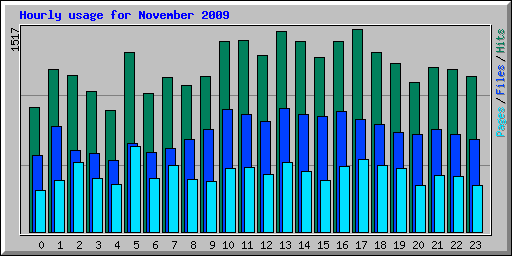 Hourly usage for November 2009