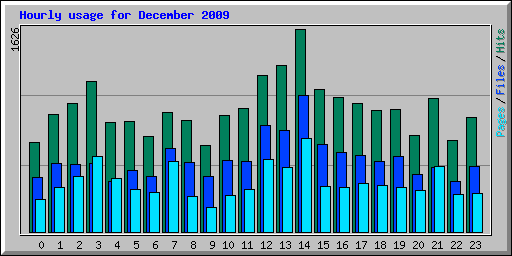 Hourly usage for December 2009