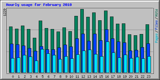 Hourly usage for February 2010