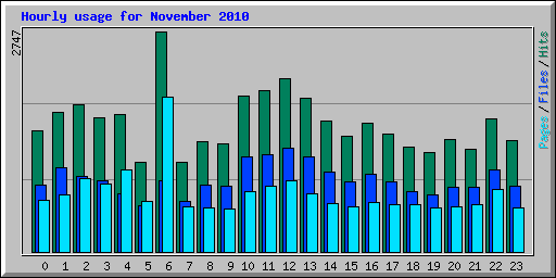 Hourly usage for November 2010