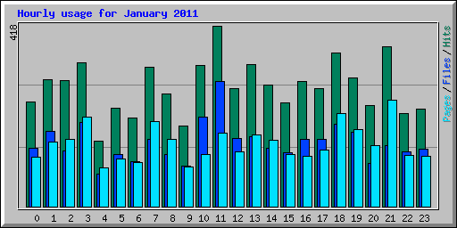 Hourly usage for January 2011