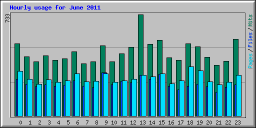 Hourly usage for June 2011