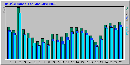 Hourly usage for January 2012