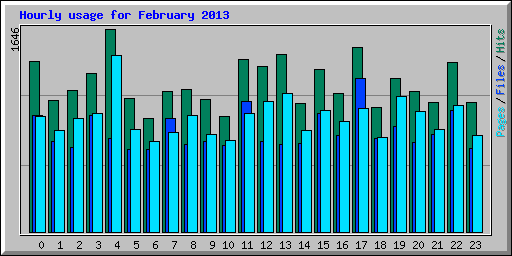 Hourly usage for February 2013
