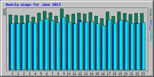 Hourly usage for June 2013