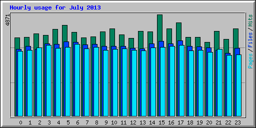 Hourly usage for July 2013