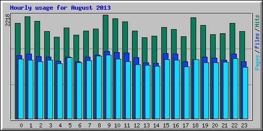 Hourly usage for August 2013