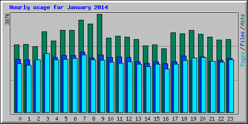 Hourly usage for January 2014