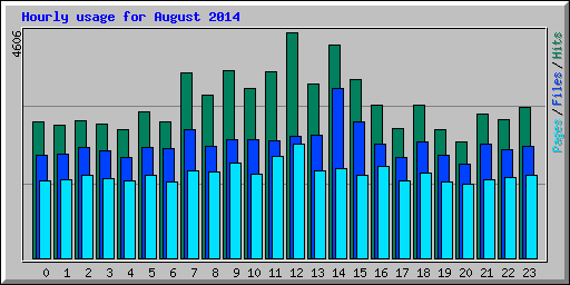 Hourly usage for August 2014