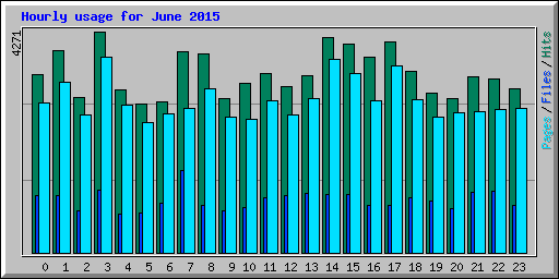 Hourly usage for June 2015