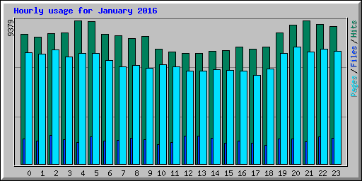 Hourly usage for January 2016