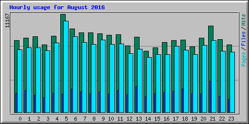 Hourly usage for August 2016