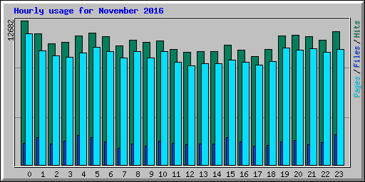 Hourly usage for November 2016