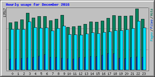 Hourly usage for December 2016