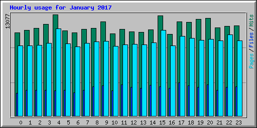 Hourly usage for January 2017