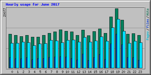Hourly usage for June 2017
