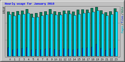 Hourly usage for January 2018