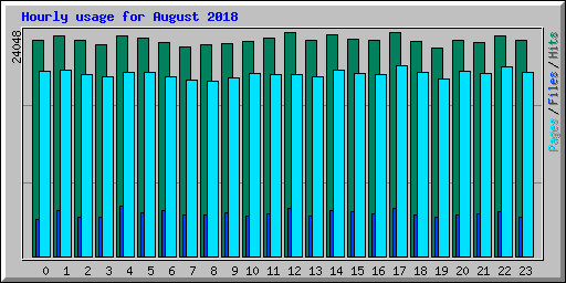 Hourly usage for August 2018