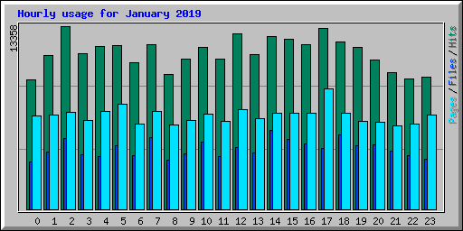 Hourly usage for January 2019