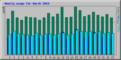 Hourly usage for March 2019