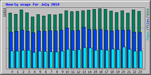 Hourly usage for July 2019
