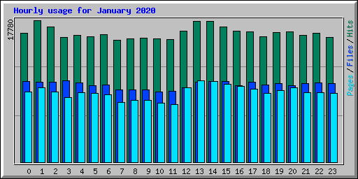 Hourly usage for January 2020