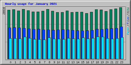 Hourly usage for January 2021