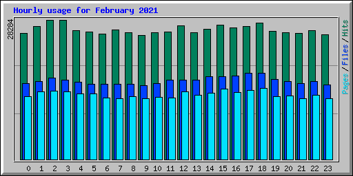 Hourly usage for February 2021