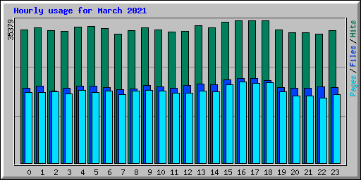 Hourly usage for March 2021