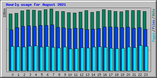 Hourly usage for August 2021