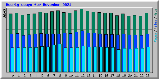 Hourly usage for November 2021