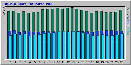 Hourly usage for March 2022