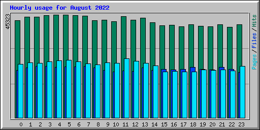 Hourly usage for August 2022