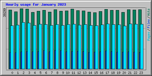 Hourly usage for January 2023
