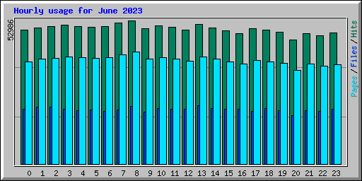 Hourly usage for June 2023