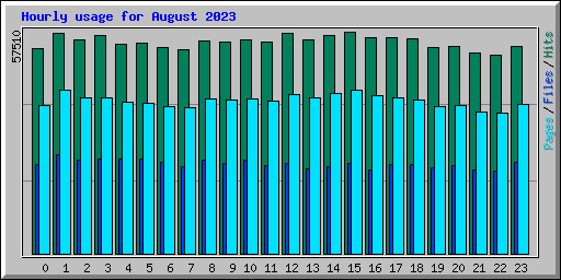Hourly usage for August 2023